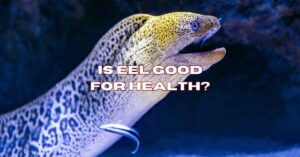 is-eel-good-for-health